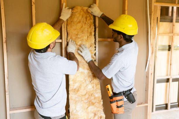 Best Insulation Replacement Services  in Blue Bell, PA